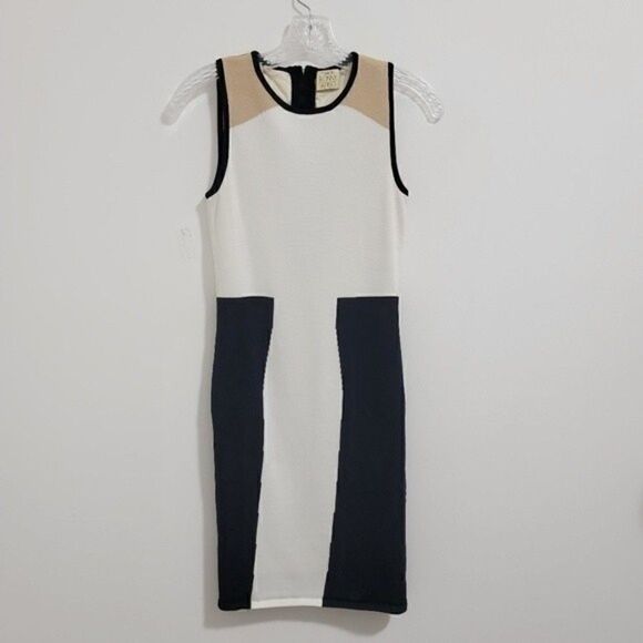 TORN By Ronny Kobo Colorblock Bodycon Striped Black White Tan Dress Small - Picture 2 of 11